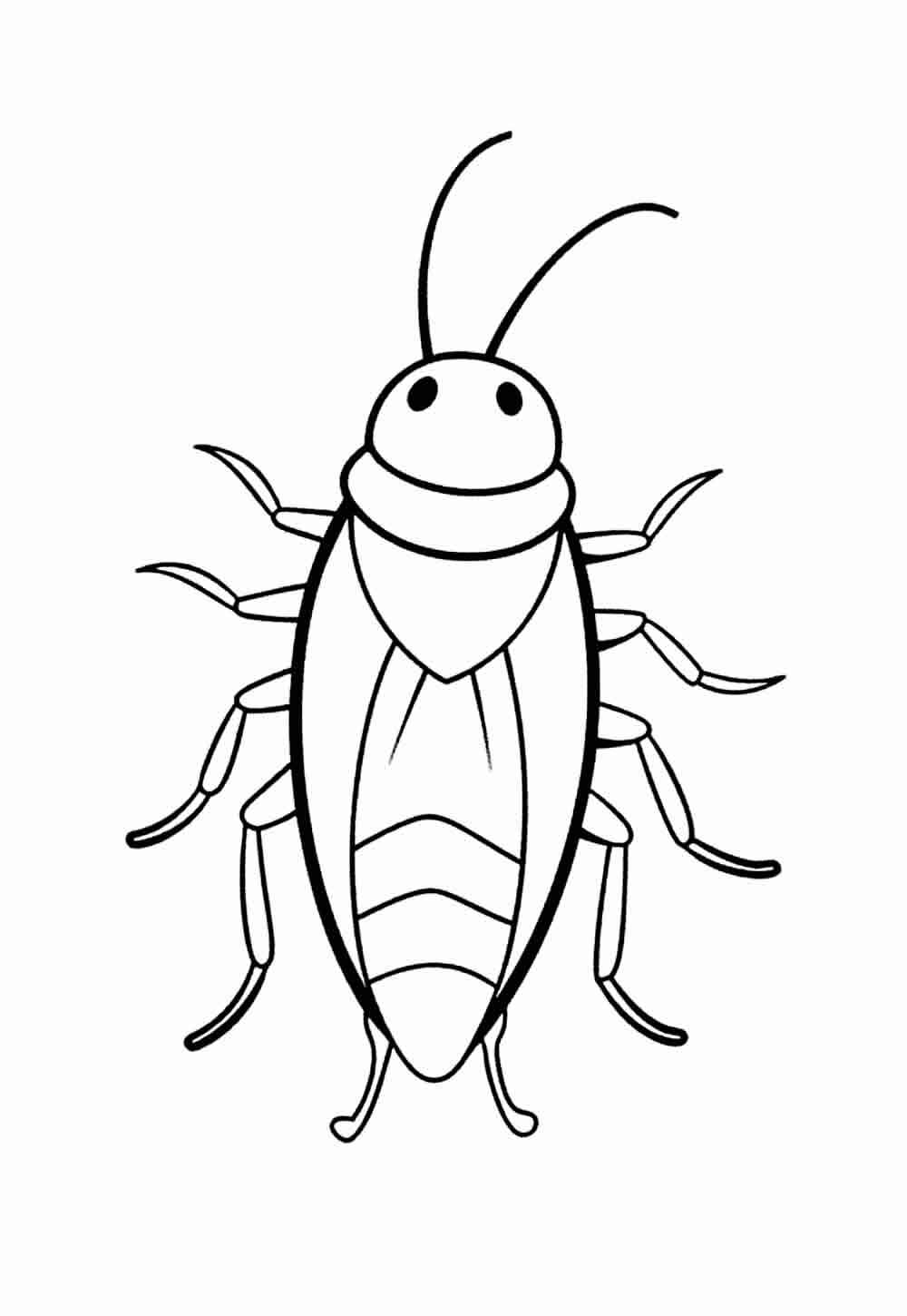 Desenho de Barata Desenho Colorir Imprimir 09