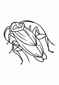 Desenho de Barata Desenho Colorir Imprimir 14