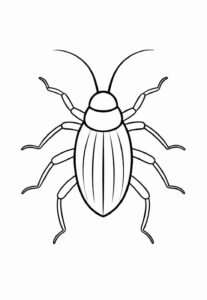 Desenho de Barata Desenho Colorir Imprimir 17