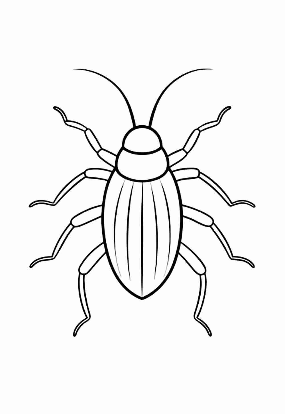 Desenho de Barata Desenho Colorir Imprimir 17