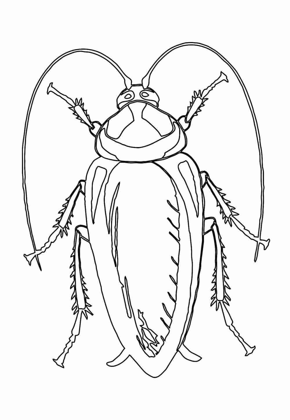 Desenho de Barata Desenho Colorir Imprimir 19