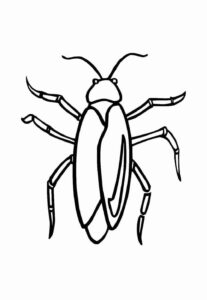 Desenho de Barata Desenho Colorir Imprimir 21
