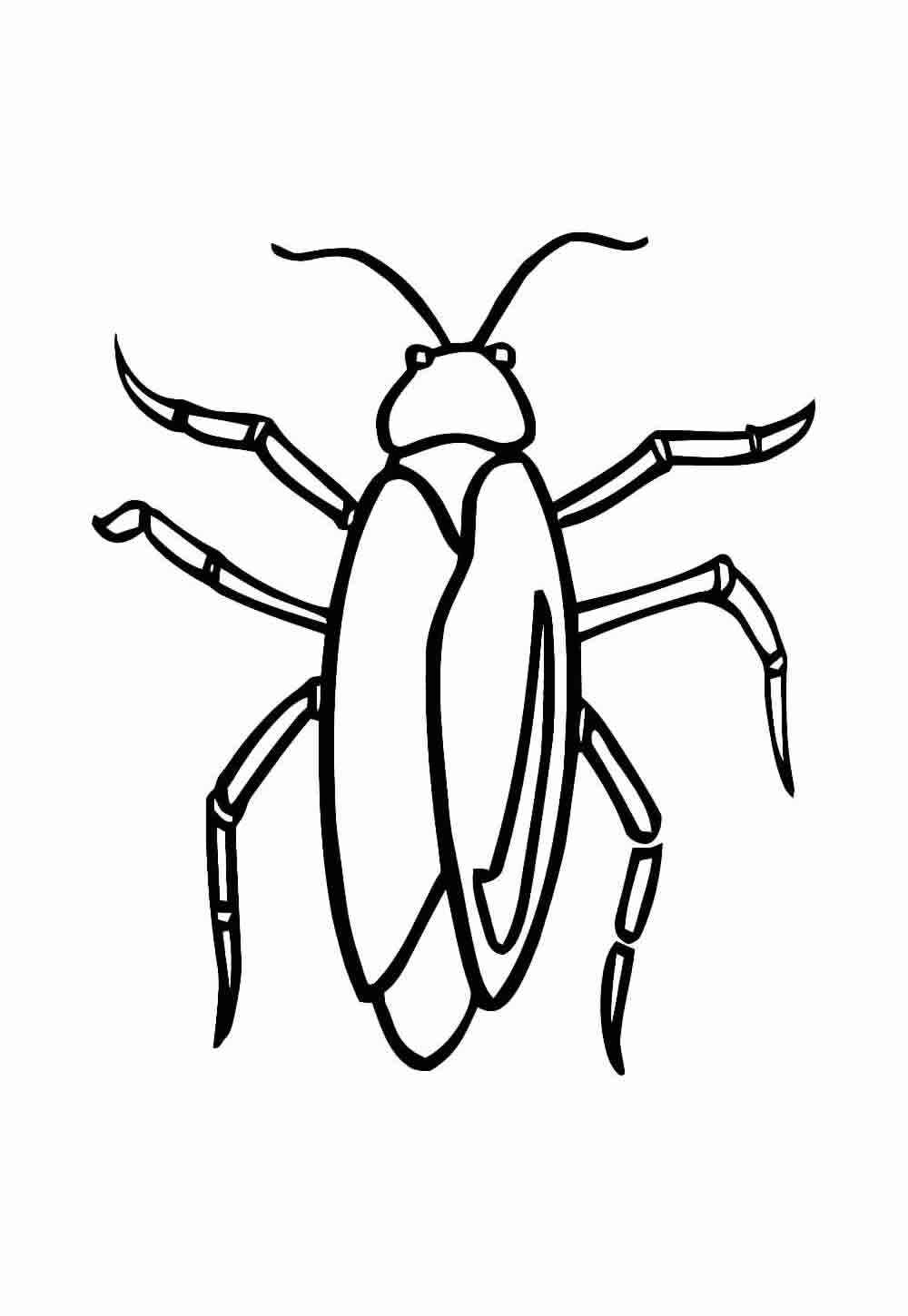 Desenho de Barata Desenho Colorir Imprimir 21