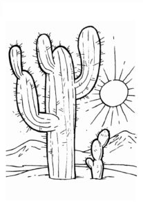 Desenho de Cactos Desenho Colorir Imprimir 22