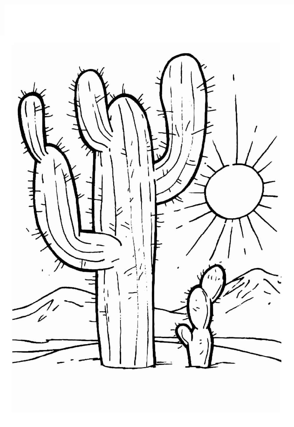 Desenho de Cactos Desenho Colorir Imprimir 22