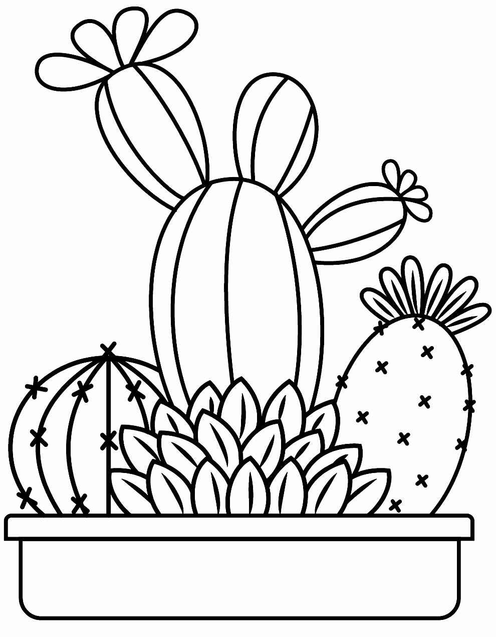 Desenho de Cactos Desenho Colorir Imprimir 26