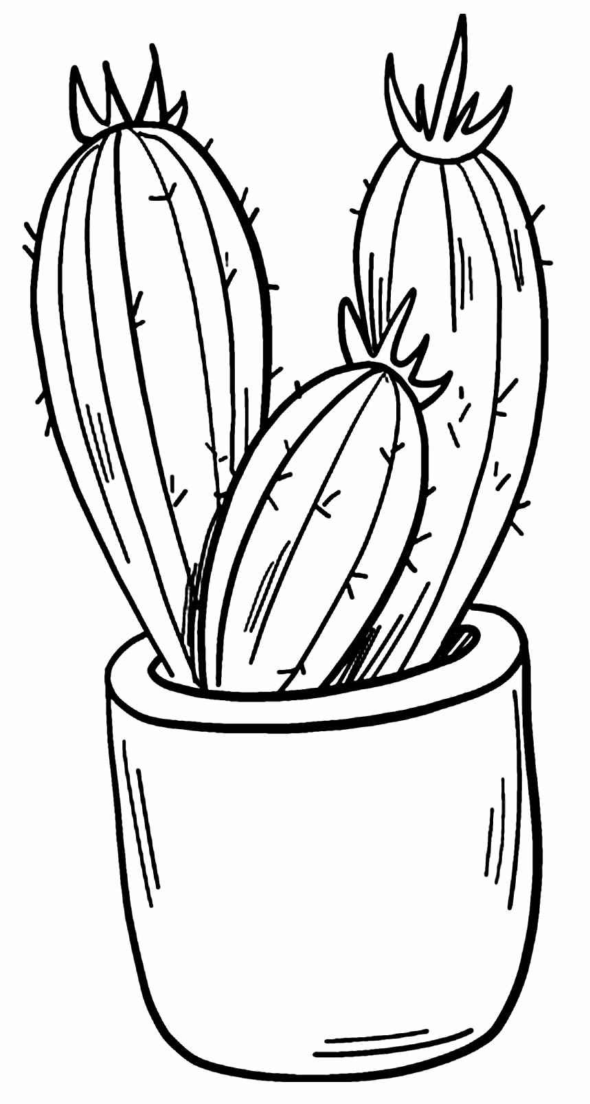 Desenho de Cactos Desenho Colorir Imprimir 27