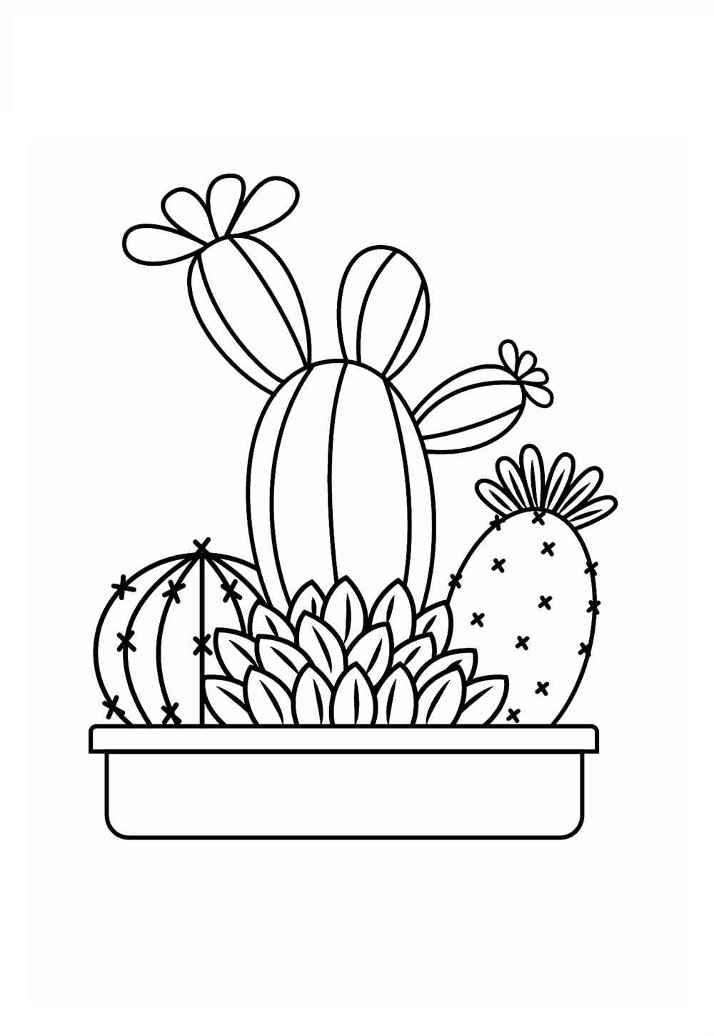 Desenho de Cactos Desenho Colorir Imprimir 31