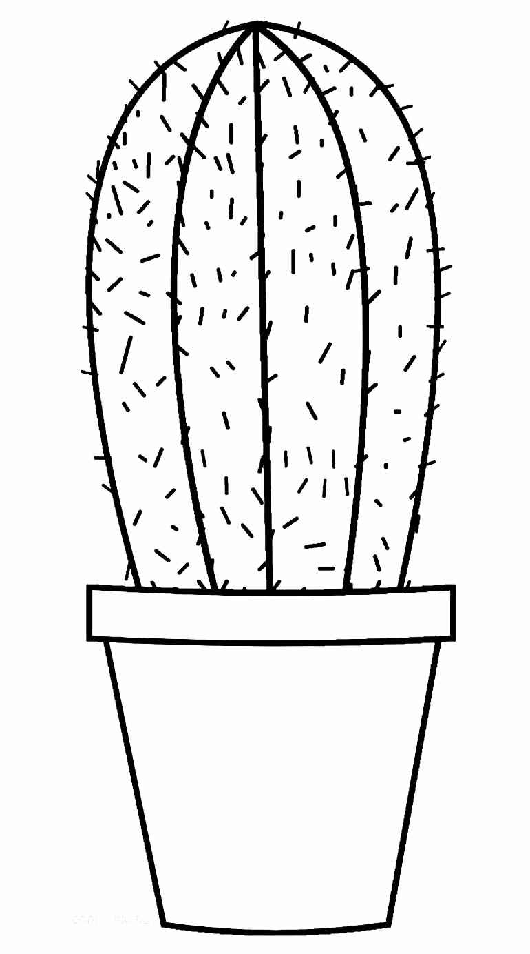 Desenho de Cactos Desenho Colorir Imprimir 37