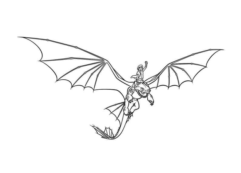 Desenho de Como Treinar O Seu Dragão Desenho Colorir Imprimir 04