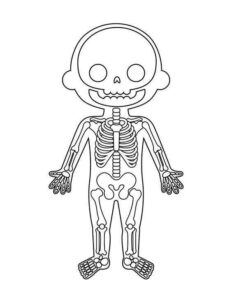 Desenho de Corpo Humano Desenho Colorir Imprimir 01