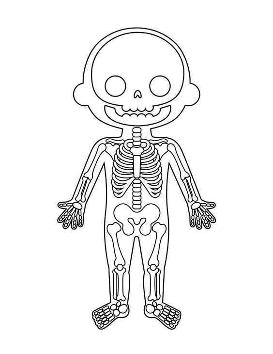Desenho de Corpo Humano Desenho Colorir Imprimir 01