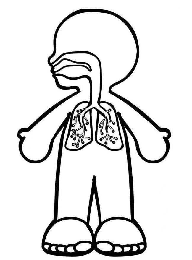 Desenho de Corpo Humano Desenho Colorir Imprimir 04