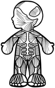 Desenho de Corpo Humano Desenho Colorir Imprimir 05