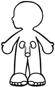 Desenho de Corpo Humano Desenho Colorir Imprimir 06