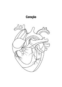 Desenho de Corpo Humano Desenho Colorir Imprimir 13