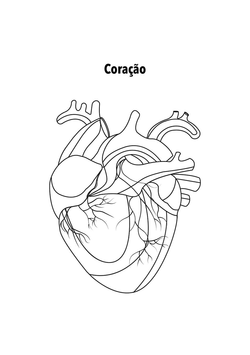 Desenho de Corpo Humano Desenho Colorir Imprimir 13