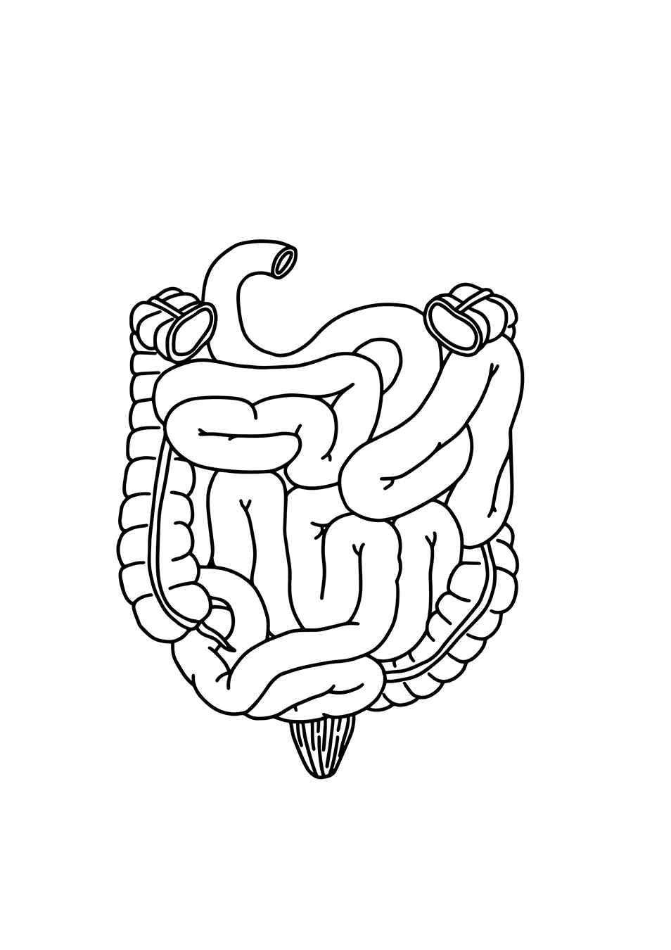 Desenho de Corpo Humano Desenho Colorir Imprimir 14