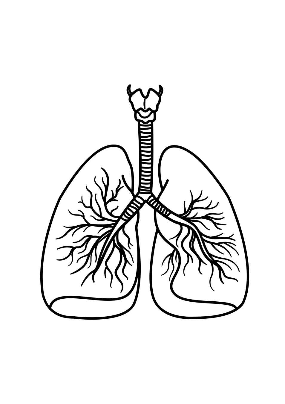 Desenho de Corpo Humano Desenho Colorir Imprimir 16
