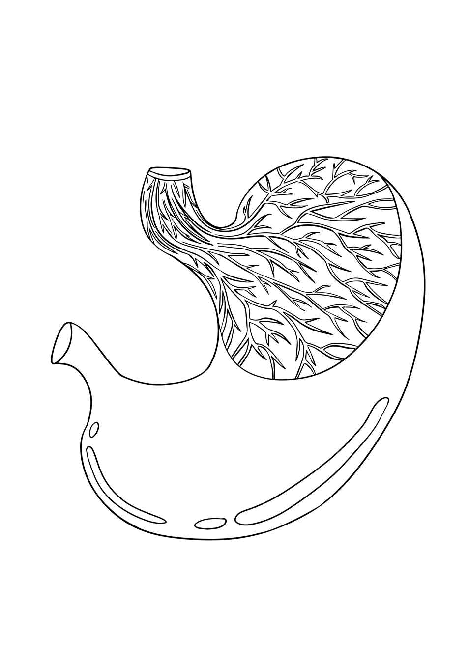 Desenho de Corpo Humano Desenho Colorir Imprimir 18