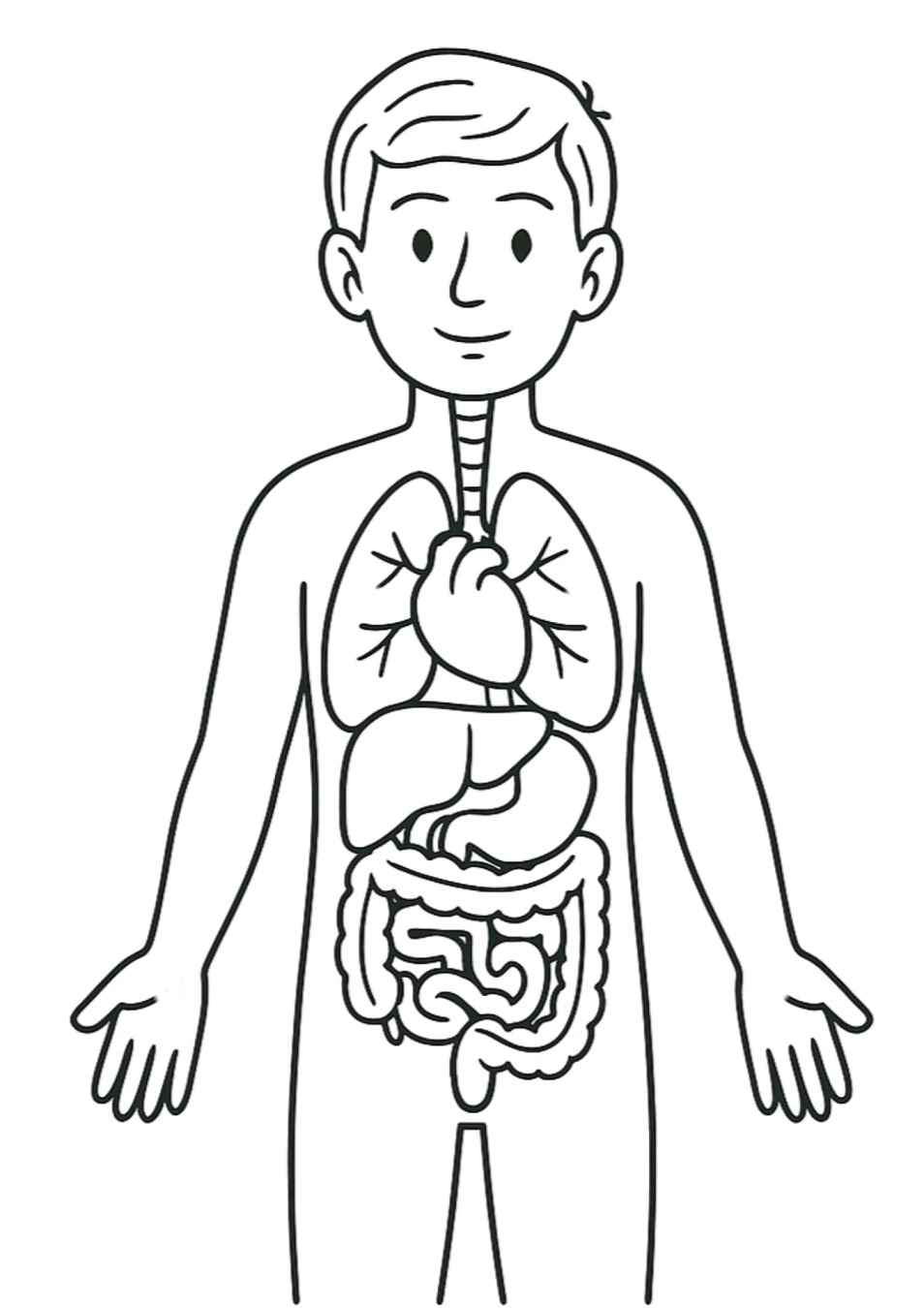Desenho de Corpo Humano Desenho Colorir Imprimir 19