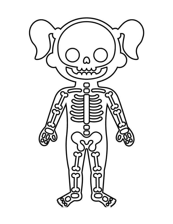 Desenho de Corpo Humano Desenho Colorir Imprimir 20