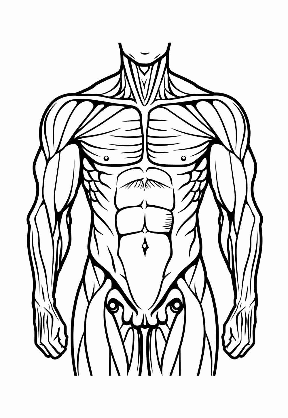 Desenho de Corpo Humano Desenho Colorir Imprimir 27