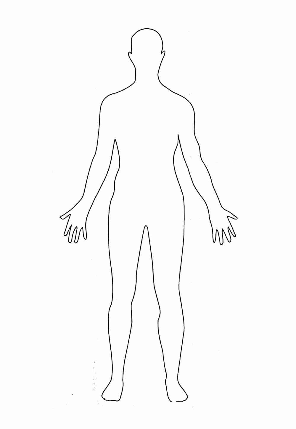 Desenho de Corpo Humano Desenho Colorir Imprimir 30