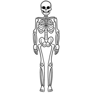 Desenho de Esqueleto Desenho Colorir Imprimir 06