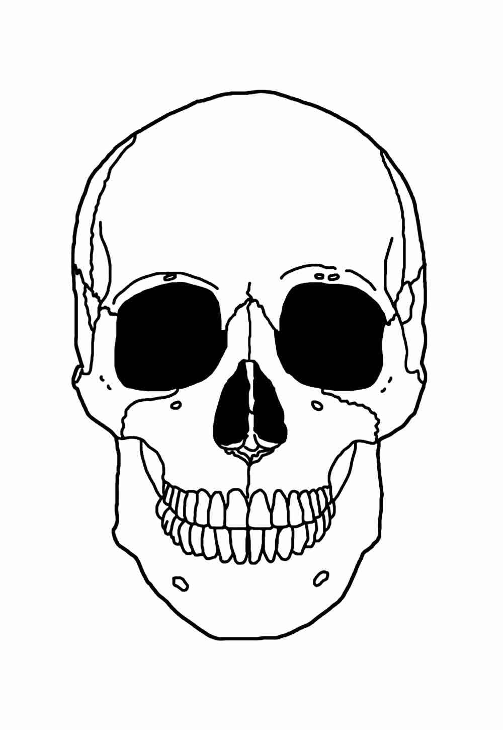 Desenho de Esqueleto Desenho Colorir Imprimir 09