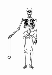 Desenho de Esqueleto Desenho Colorir Imprimir 16