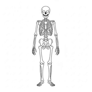 Desenho de Esqueleto Desenho Colorir Imprimir 21