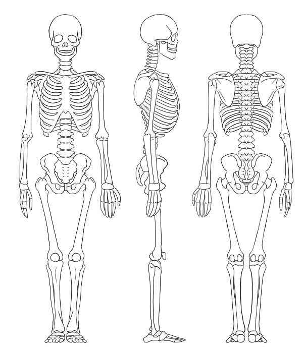 Desenho de Esqueleto Desenho Colorir Imprimir 41