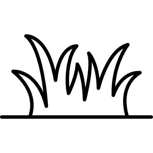 Desenho de Grama Desenho Colorir Imprimir 01