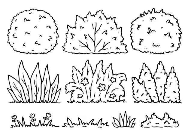 Desenho de Grama Desenho Colorir Imprimir 02