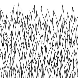 Desenho de Grama Desenho Colorir Imprimir 03