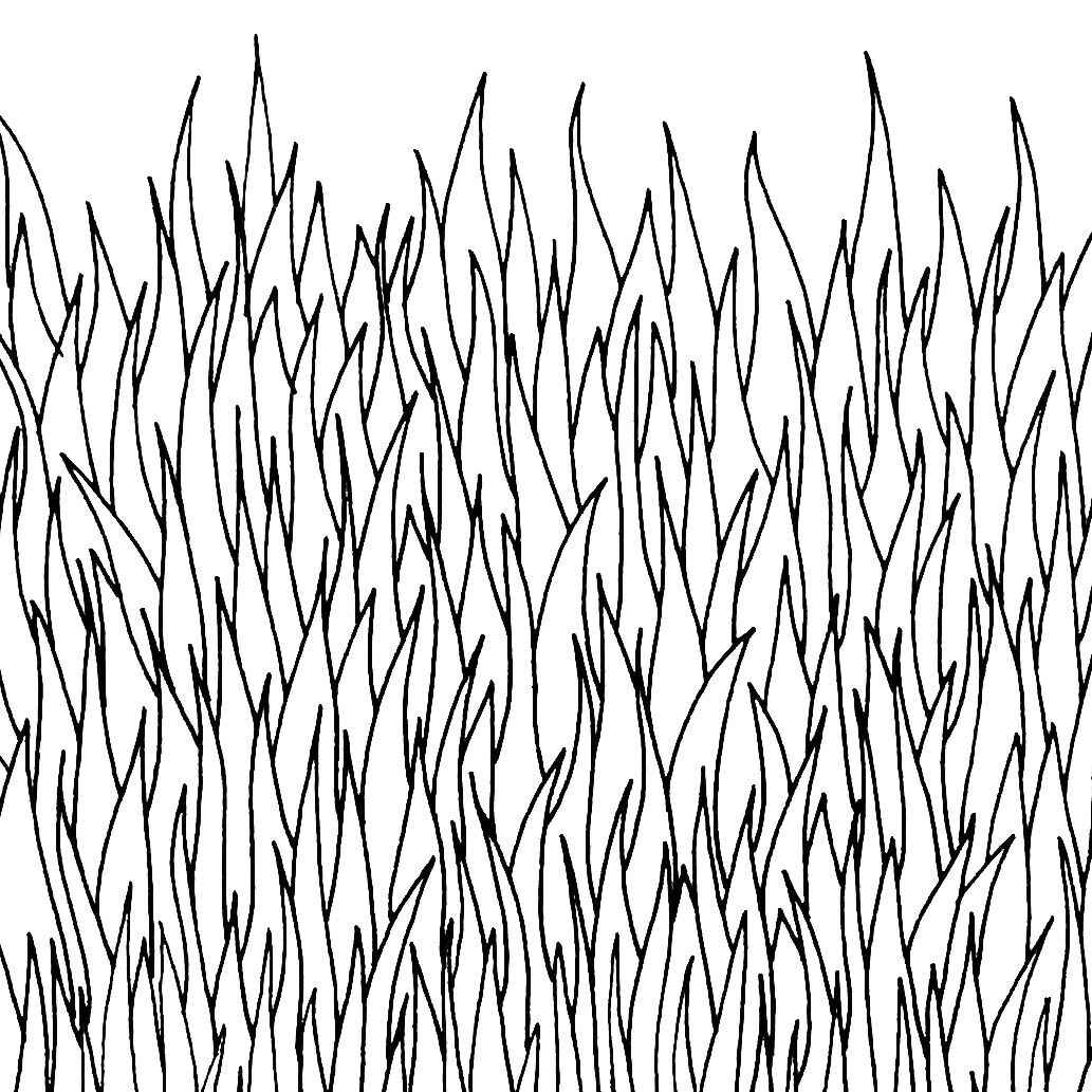 Desenho de Grama Desenho Colorir Imprimir 03
