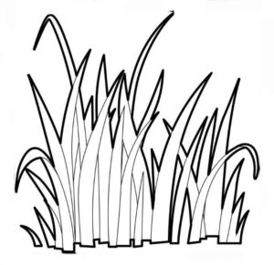 Desenho de Grama Desenho Colorir Imprimir 09