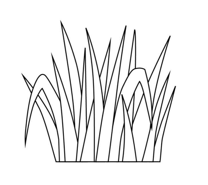 Desenho de Grama Desenho Colorir Imprimir 10