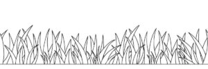 Desenho de Grama Desenho Colorir Imprimir 15