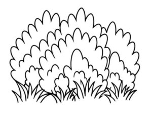 Desenho de Grama Desenho Colorir Imprimir 17