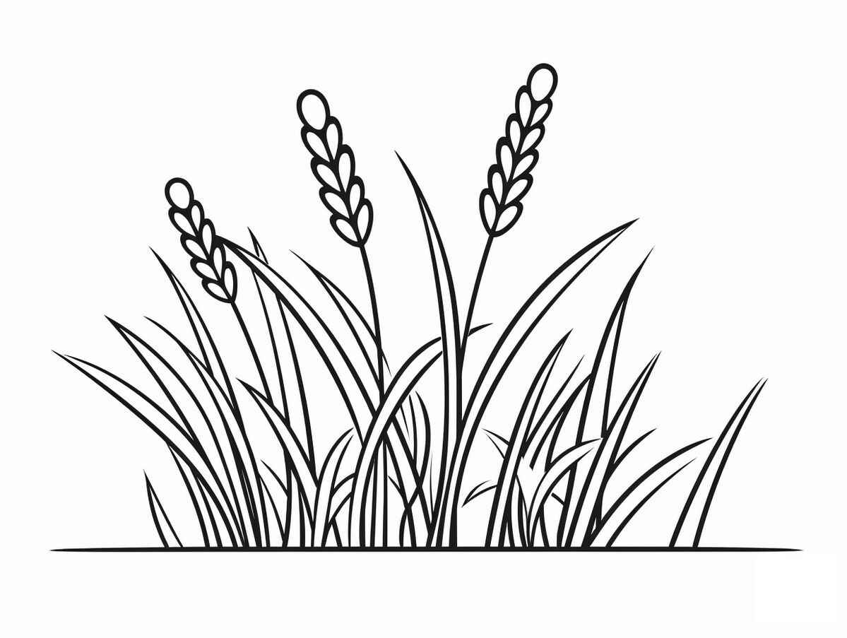 Desenho de Grama Desenho Colorir Imprimir 21