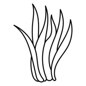 Desenho de Grama Desenho Colorir Imprimir 23