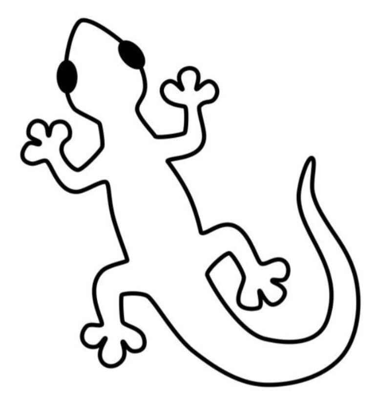 Desenho de Lagartixa Desenho Colorir Imprimir 06