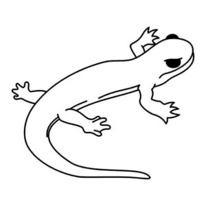 Desenho de Lagartixa Desenho Colorir Imprimir 07