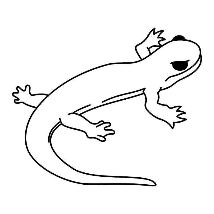 Desenho de Lagartixa Desenho Colorir Imprimir 07