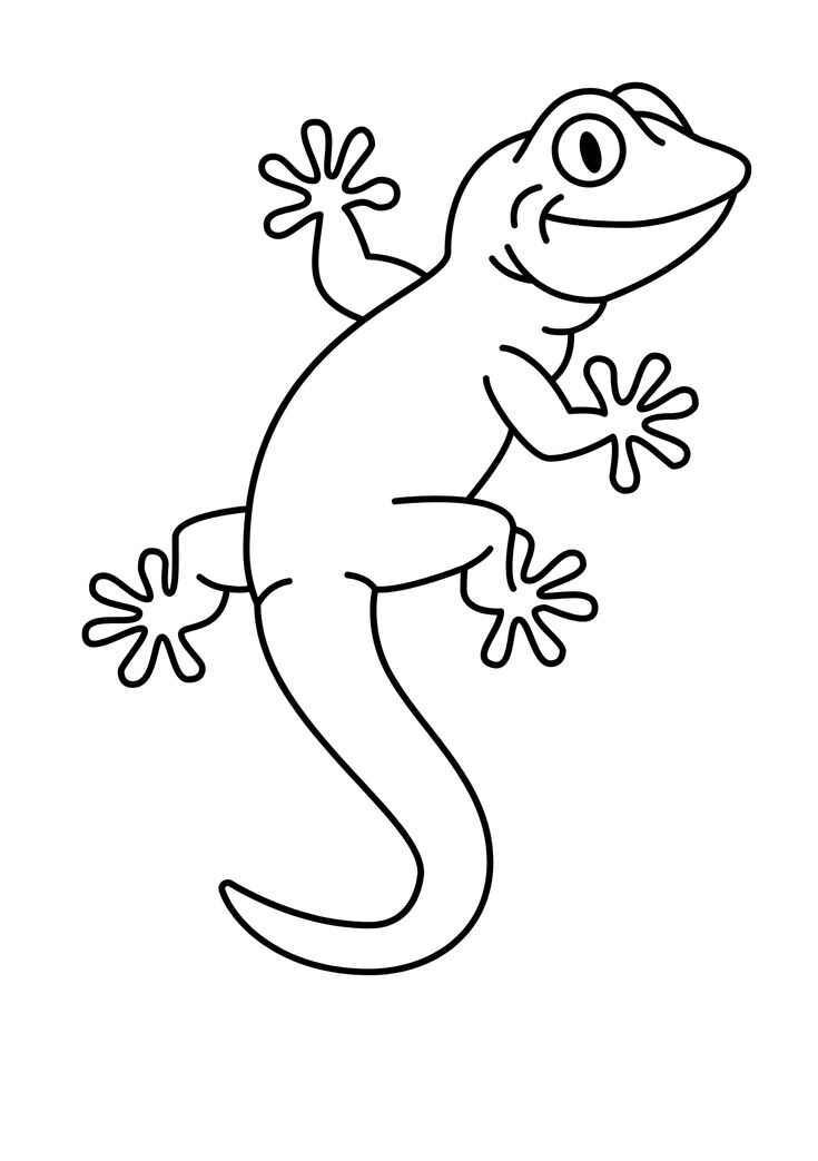 Desenho de Lagartixa Desenho Colorir Imprimir 08