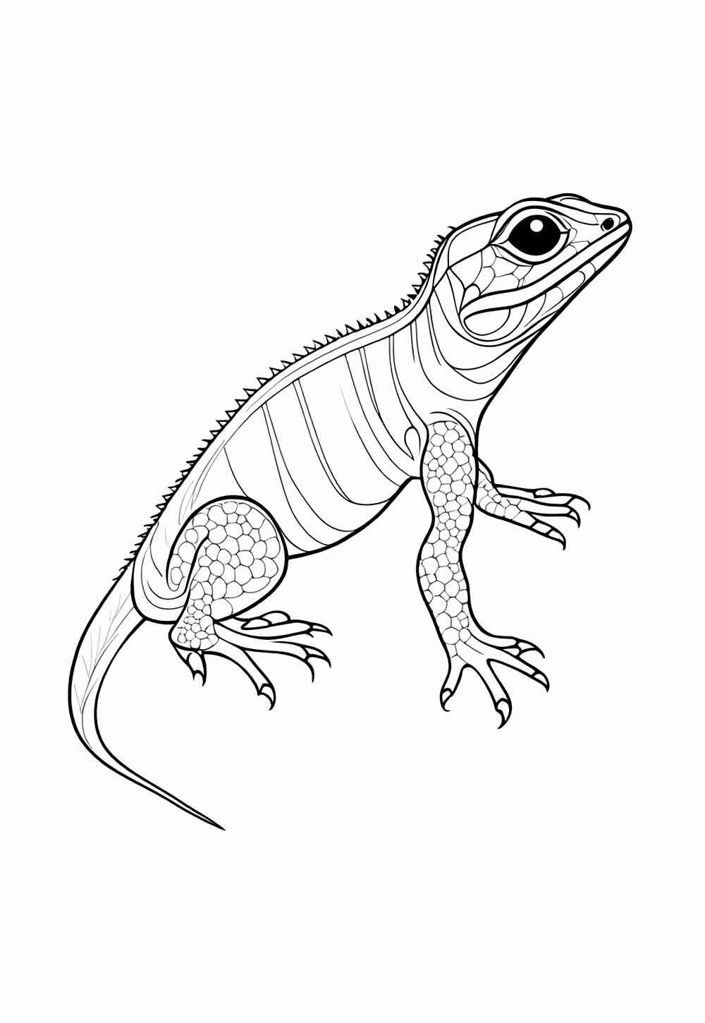 Desenho de Lagartixa Desenho Colorir Imprimir 10