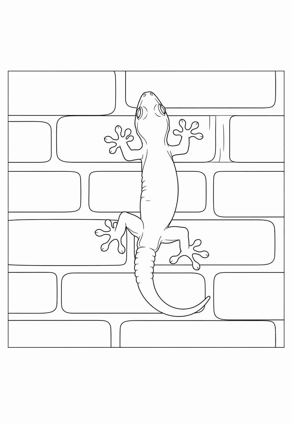 Desenho de Lagartixa Desenho Colorir Imprimir 11