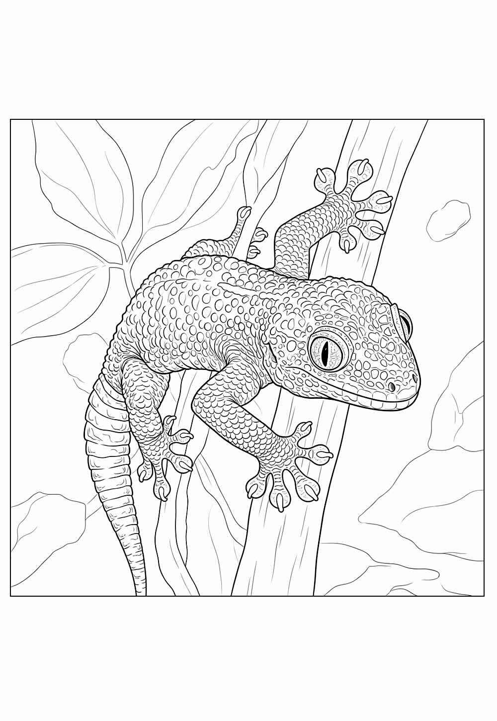 Desenho de Lagartixa Desenho Colorir Imprimir 12